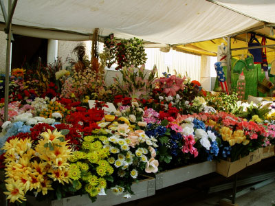 Flowers San Francisco