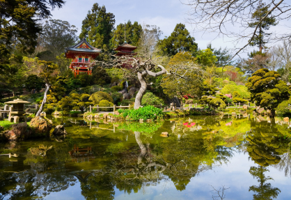 Golden Gate Park