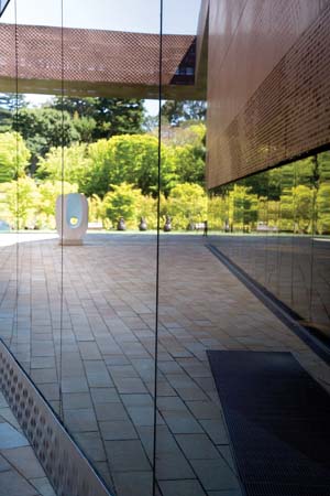 de young art museum