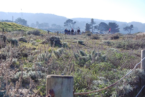 Presidio Restoration